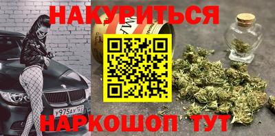 стаф Новодвинск